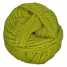 Green Yellow